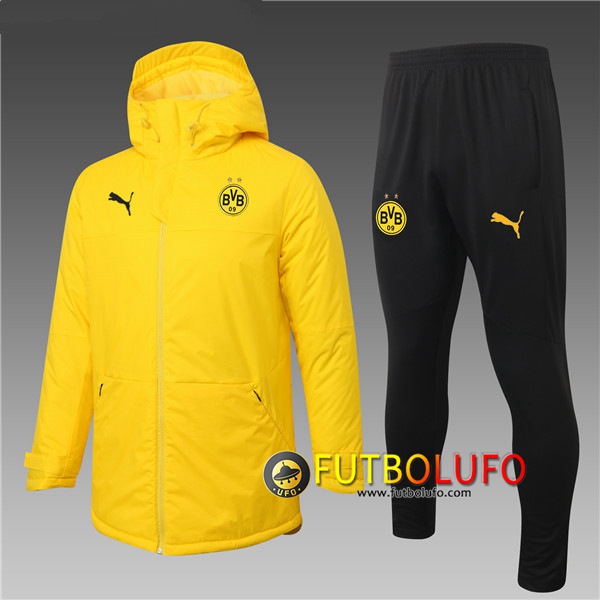 Chaqueta De Plumas Dortmund BVB Amarillo + Pantalones 2020 2021