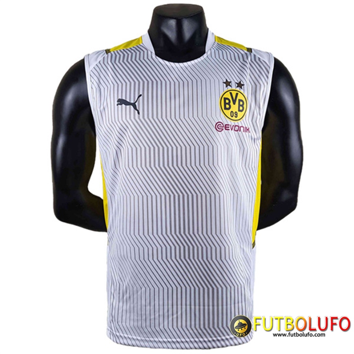 Camiseta Entrenamiento sin mangas Dortmund Gris 2022/2023