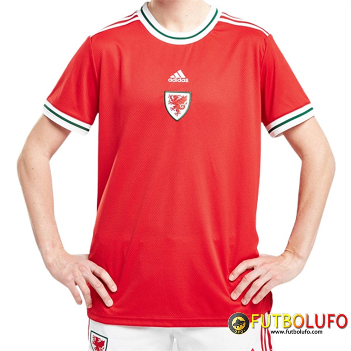 Camisetas De Futbol Gales Primera Copa Del Mundo 2022