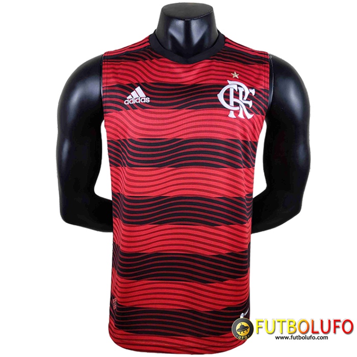 Camisetas De Futbol Flamengo Gilet 2022/2023