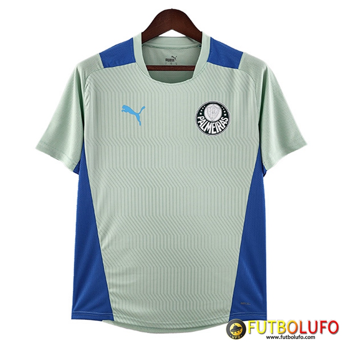 Camiseta Entrenamiento Palmeiras Verde 2022/2023