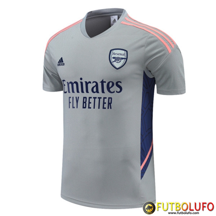 Camiseta Entrenamiento Arsenal Gris 2022/2023