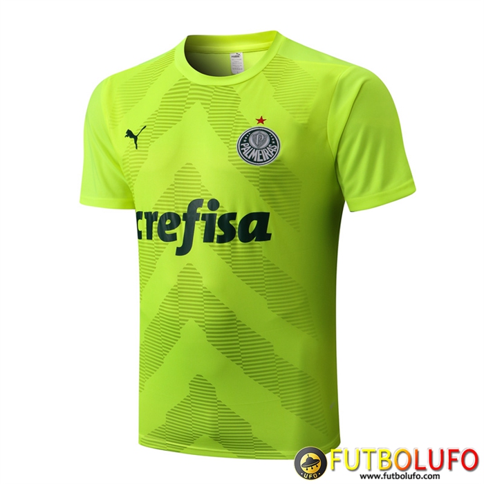Camiseta Entrenamiento Palmeiras Verde 2022/2023
