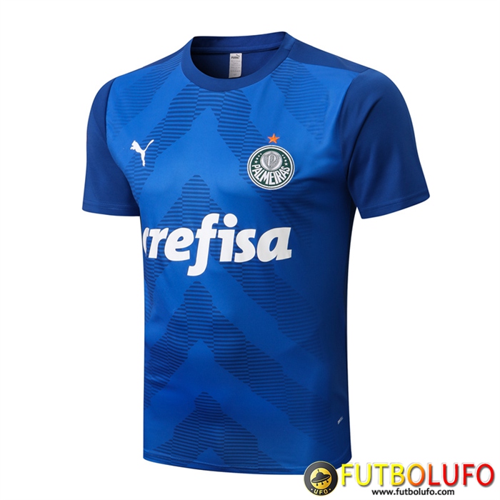 Camiseta Entrenamiento Palmeiras Azul 2022/2023
