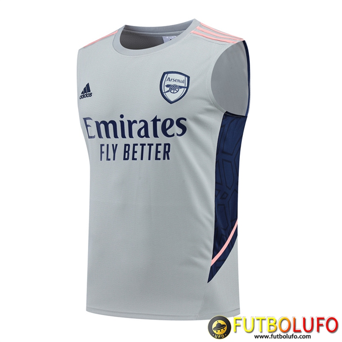 Camiseta Entrenamiento sin mangas Arsenal Gris 2022/2023