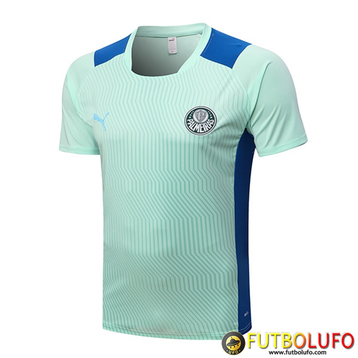 Camiseta Entrenamiento Palmeiras Verde 2022/2023