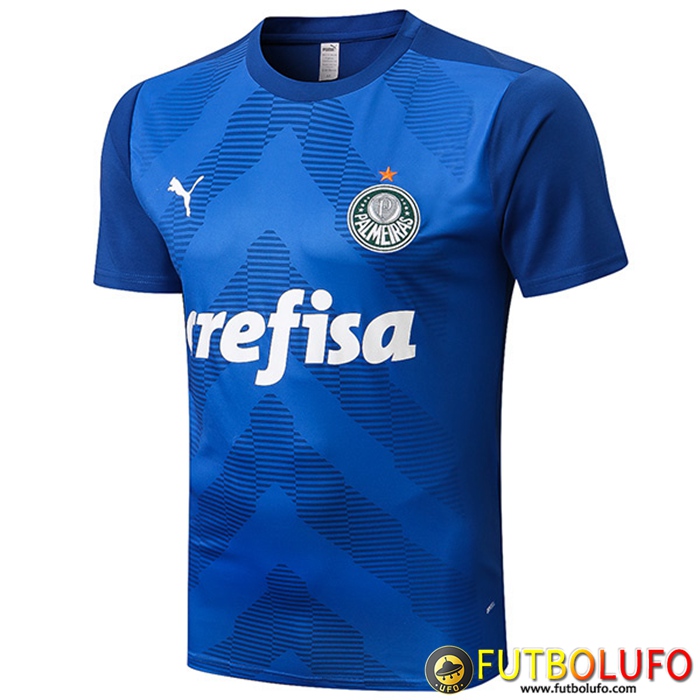 Camiseta Entrenamiento Palmeiras Azul 2022/2023