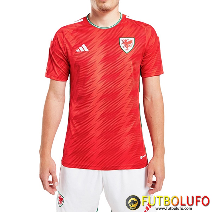 Nueva Camisetas De Futbol Gales Segunda Copa Del Mundo 2022