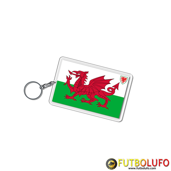 Nueva Titular de la clave Carré Copa Del Mundo 2022 Gales Verde/Blanco/Rojo