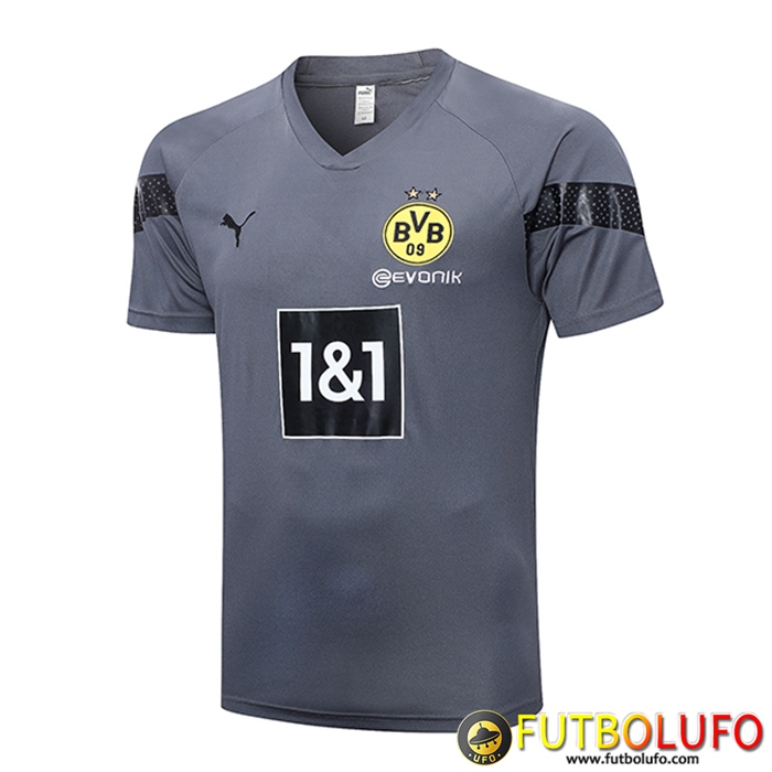 Camiseta Entrenamiento Dortmund Gris 2023/2023