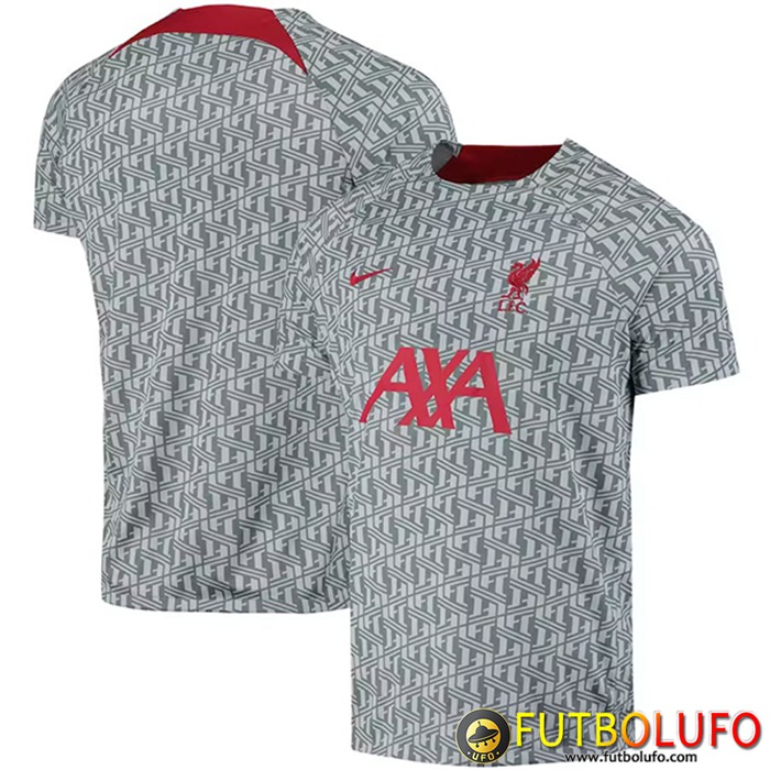 Camiseta Entrenamiento FC Liverpool Gris 2023/2023