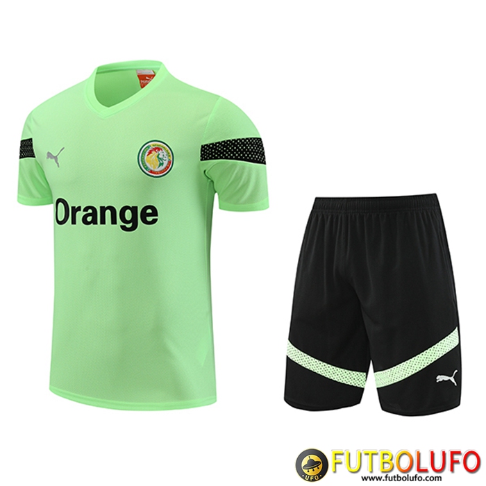 Camiseta Entrenamiento + Cortos Senegal Verde 2023/2024