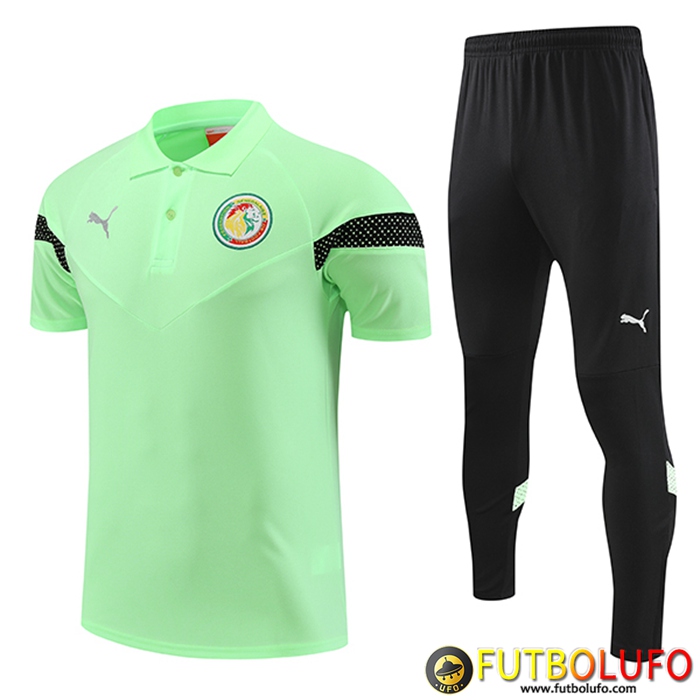 Camiseta Polo Senegal Verde 2022/2023