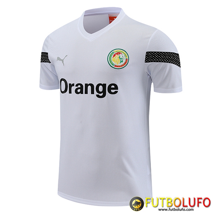 Training T-Shirts Senegal Blanco 2023/2024