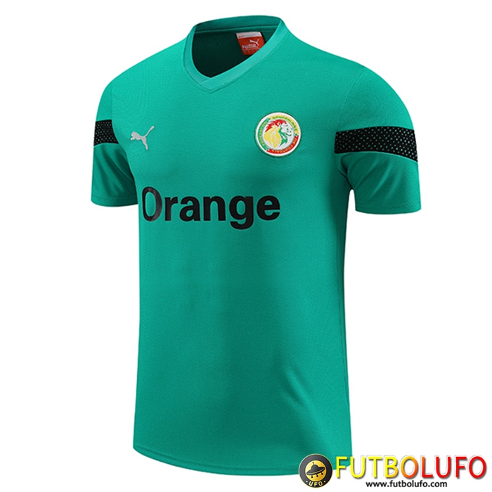 Training T-Shirts Senegal Verde 2023/2024