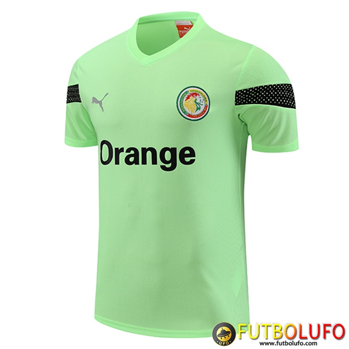 Training T-Shirts Senegal Verde 2023/2024
