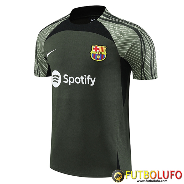 Training T-Shirts FC Barcelona Verde 2023/2024